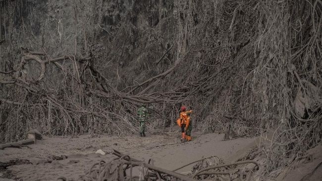 Tìm kiếm nạn nhân bị chôn vùi sau vụ phun trào núi lửa Semeru. Ảnh: AFP.