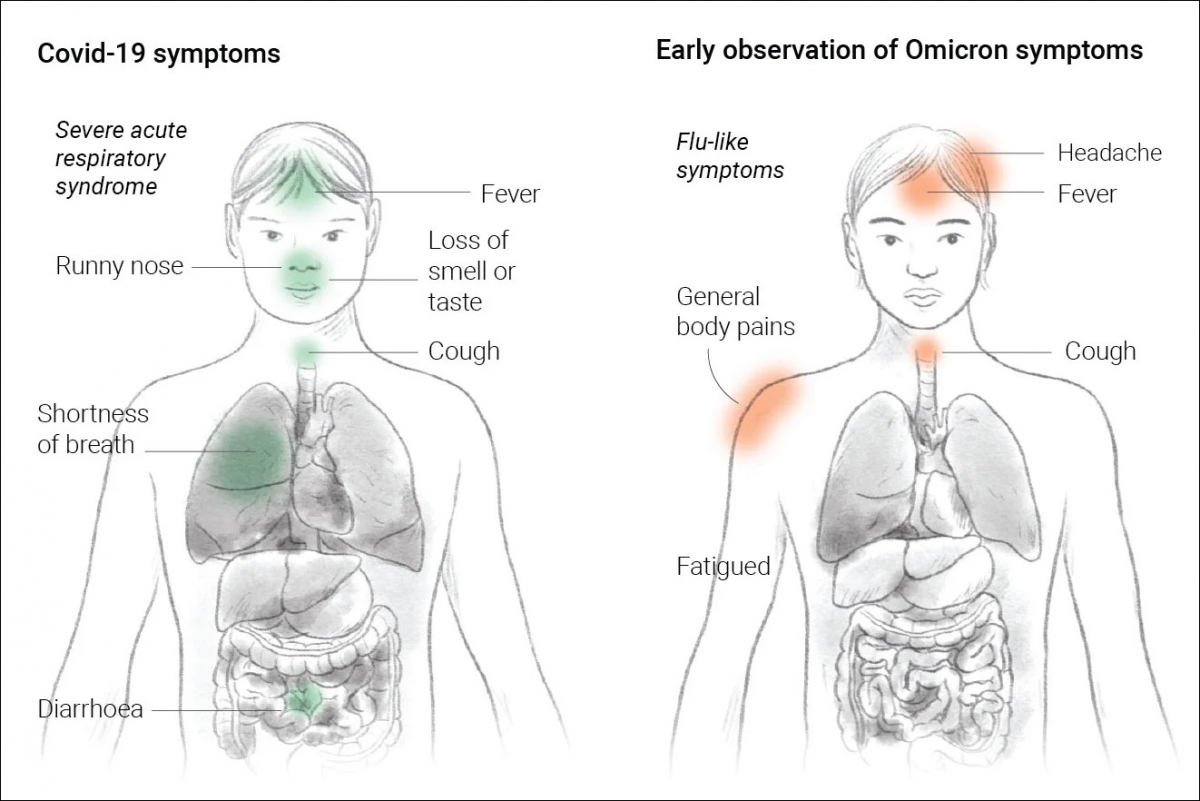 Triệu chứng Covid-19 phổ biến trước đây (bên trái): Sốt, chảy nước mũi, mất vị giác hoặc khứu giác, ho, khó thở, tiêu chảy. Triệu chứng Omicron hiện nay (bên phải): Đau đầu, sốt, ho, đau các bộ phận trên cơ thể, mệt mỏi. Đồ họa: SCMP.