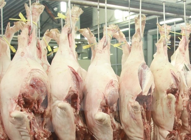 meat exports to china spur in october picture 1