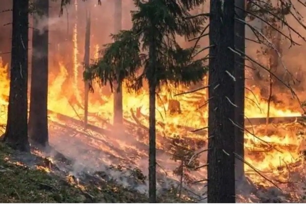 Hàng trăm ngôi nhà đã bị ảnh hưởng bởi các trận cháy rừng đang lan nhanh ở bang Colorado. Ảnh: AFP