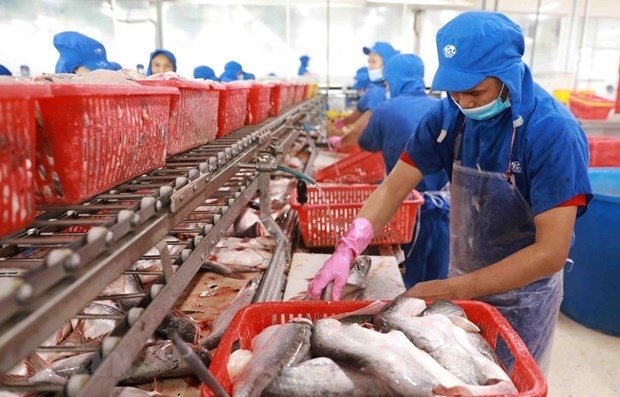 vasep claims imported seafood regulations inadequate picture 1