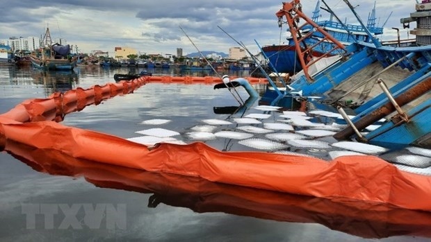 A seminar on marine pollution control was held in both in-person and online forms on November 30 (Illustrative photo: VNA)