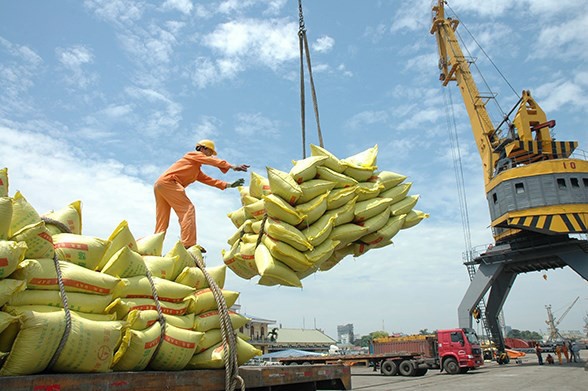 ample space remains to boost rice exports to france picture 1