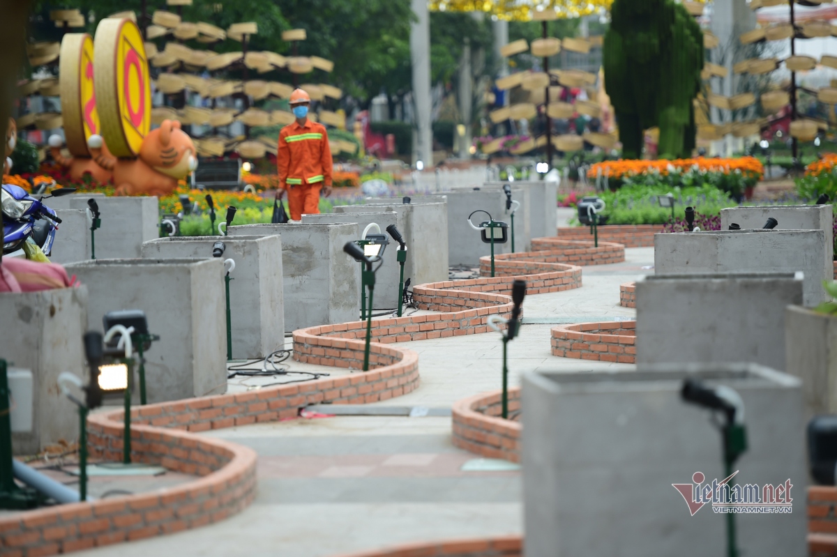 nguyen hue flower street in hcm city opens to public for tet festival picture 12