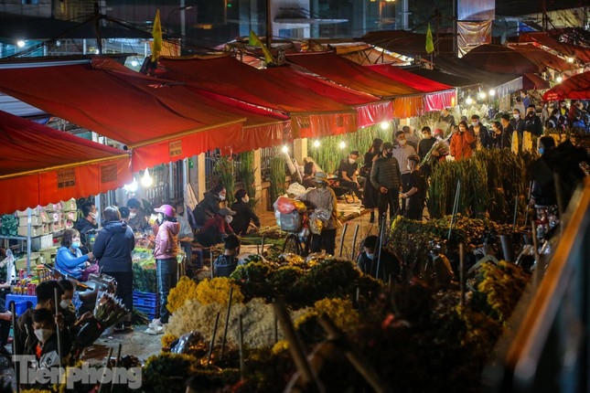 quang an night flower market bustling ahead of tet picture 12
