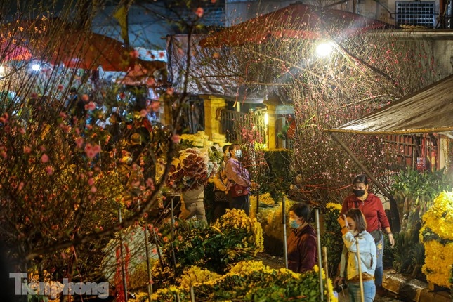 quang an night flower market bustling ahead of tet picture 17