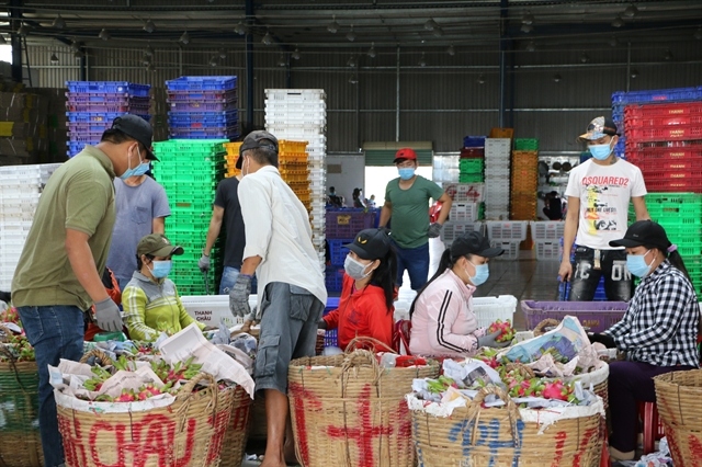 china remains largest consumer of vietnamese farm produce picture 1