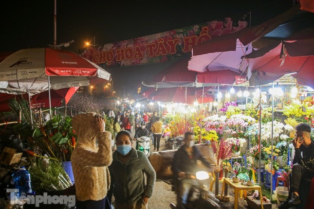 quang an night flower market bustling ahead of tet picture 1