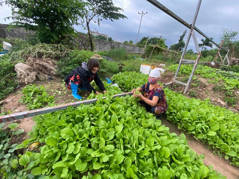 Di cham chau o thu do, ba ngoai khai khan dat hoang thanh vuon sum sue hinh anh 1