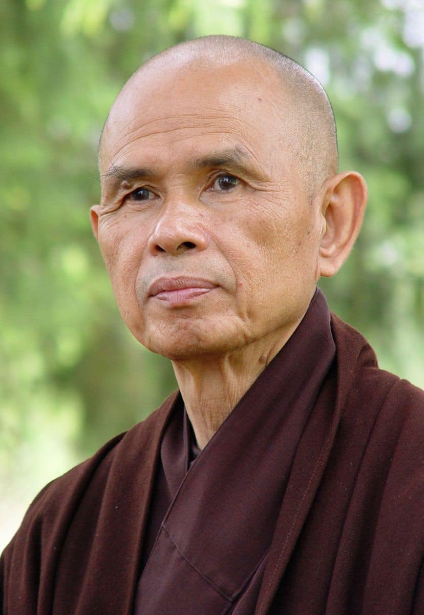 bao chi quoc te ca ngoi tam, tai, duc cua thien su thich nhat hanh hinh anh 1