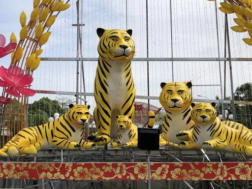 Hổ Bạc Liêu trông như đang “hờn dỗi” cả thế giới.