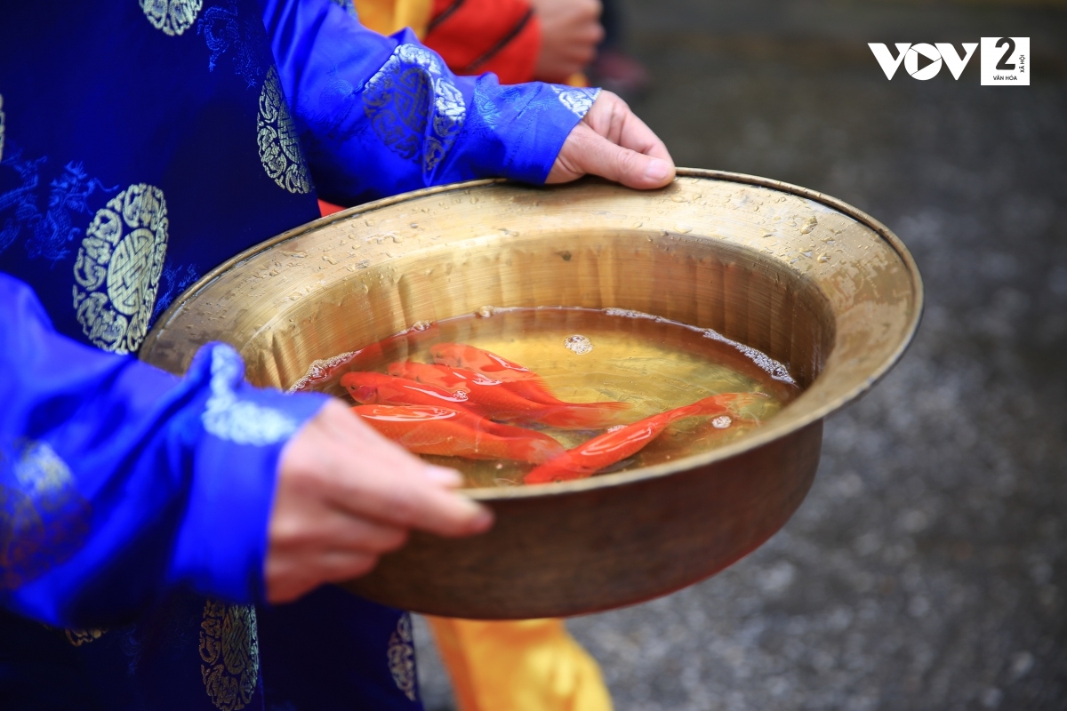 Sau khi làm lễ tại Điện Kính Thiên, cá chép được đưa đi thả. Theo truyền thống, cá chép còn đại diện cho sự phát triển và khả năng sinh sôi rất lớn. Điều này tượng trưng cho tín ngưỡng phồn thực của người Việt xưa, cầu mong sự sinh sôi, phát triển.