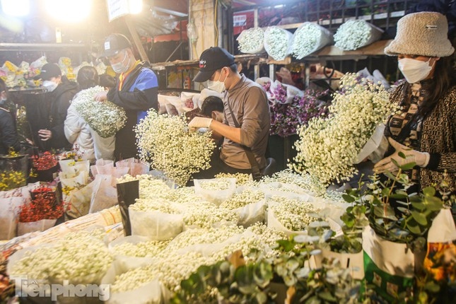 quang an night flower market bustling ahead of tet picture 9