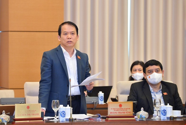 Chủ nhiệm Ủy ban Pháp luật Hoàng Thanh Tùng phát biểu thảo luận. Ảnh: Quốc hội