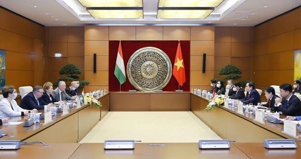 vietnam places importance on bolstering comprehensive cooperation with hungary picture 1