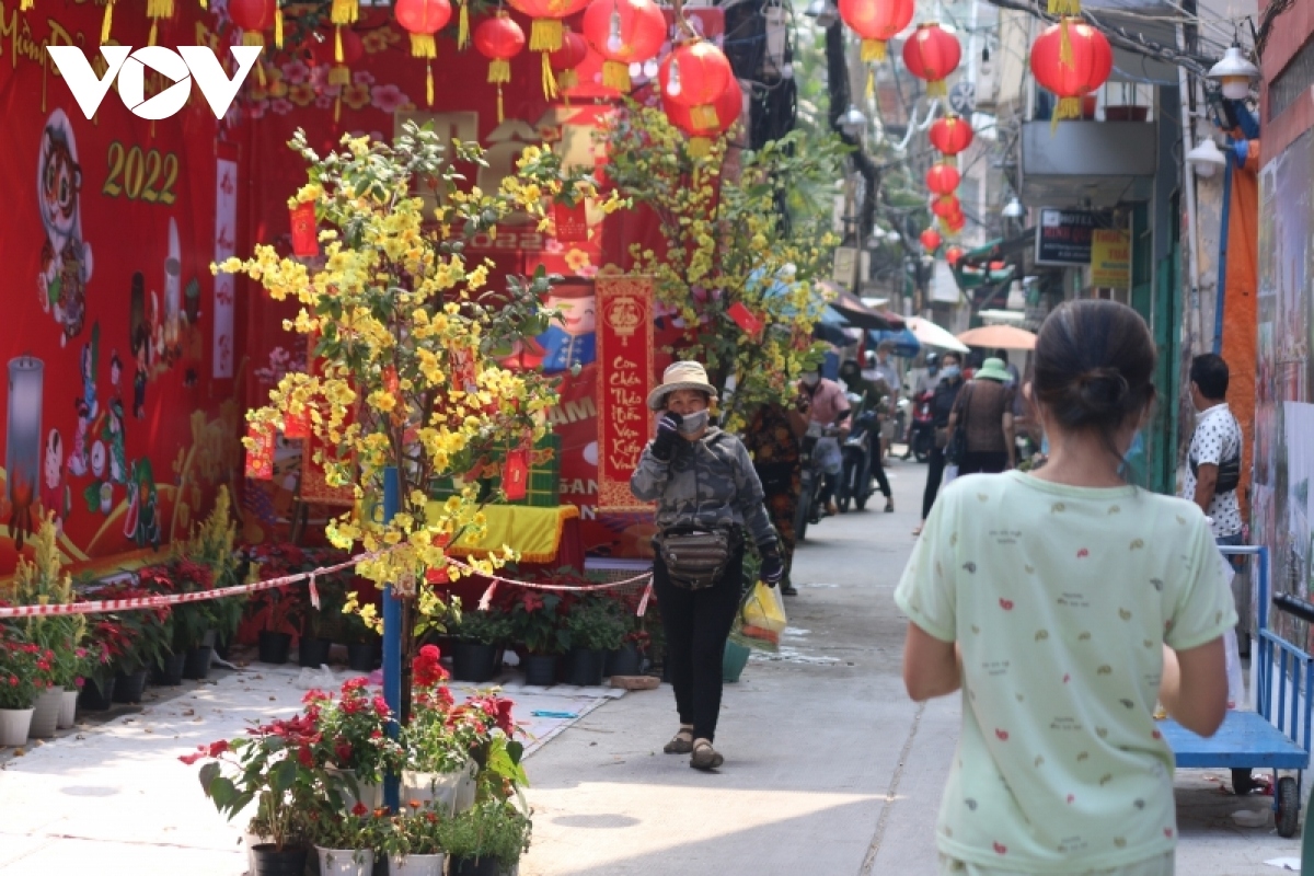 tet decorations spring up in every hcm city corner picture 7