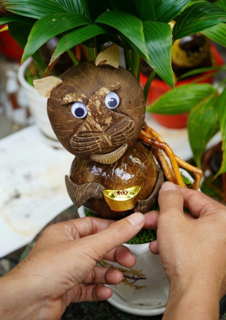 Hieu says he has been working with coconut bonsai trees for six years. As part of his craft, the past three years has seen him make zodiac animal-shaped bonsai trees.