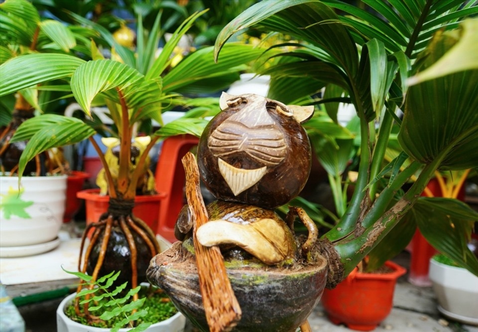 It typically takes him between four to six months to plant a tiger-shaped bonsai tree.