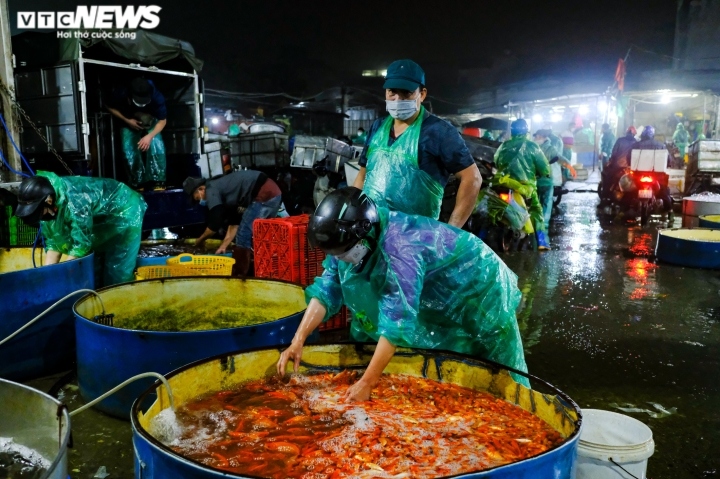 ca chep tang gia manh trong ngay tien ong cong, ong tao len troi hinh anh 4