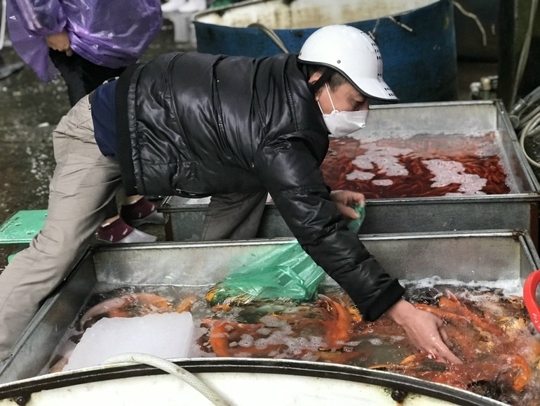 Người mua chọn lựa cá tại chợ.