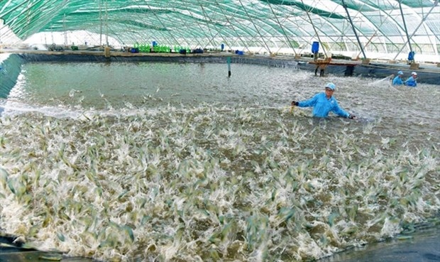 vietnam plans modern and sustainable fisheries industry picture 1