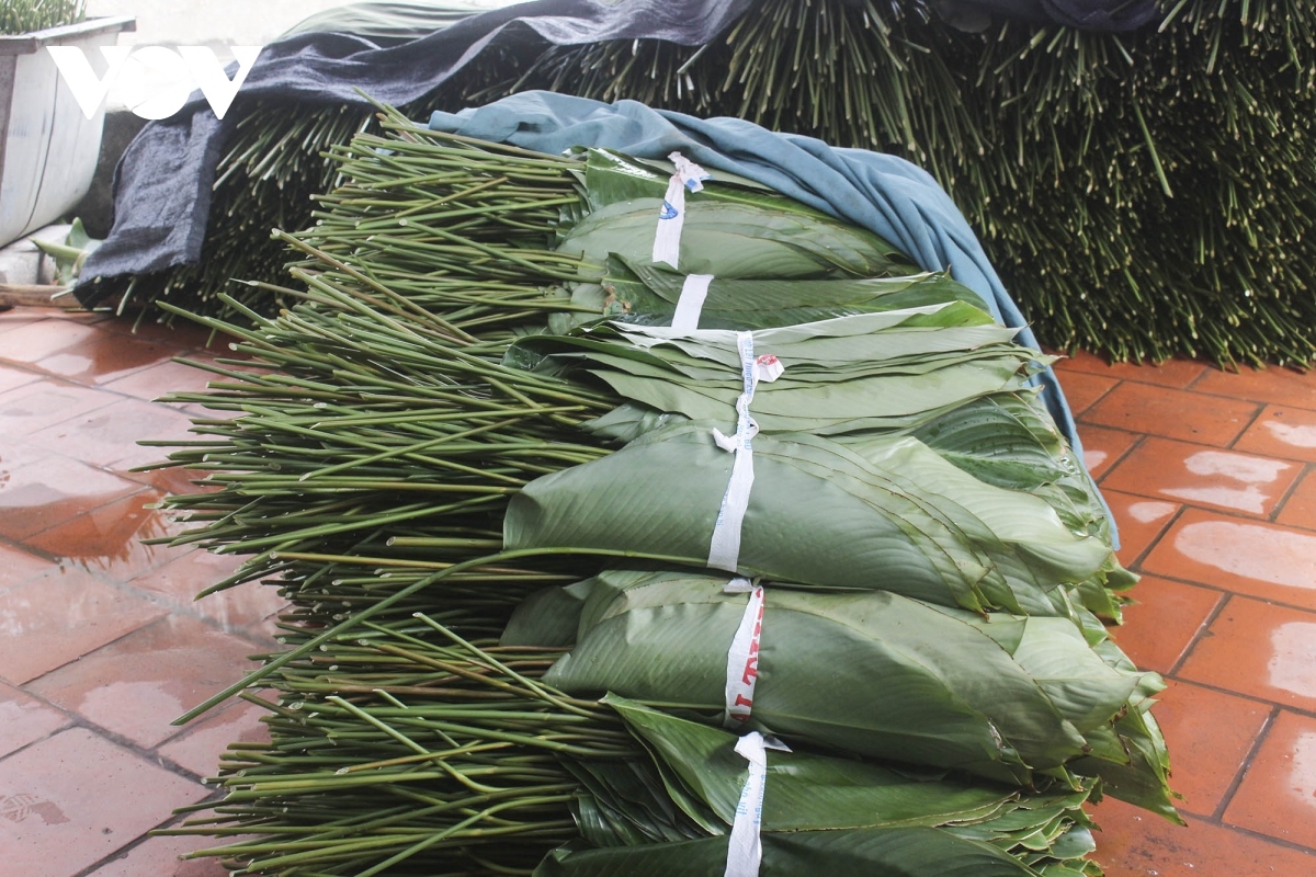 bustling dong leaf village in harvesting season for tet picture 7