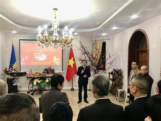 lunar new year get-togethers held for overseas vietnamese picture 1