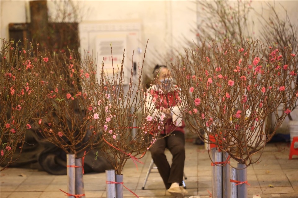 traditional tet market opens in hanoi picture 10