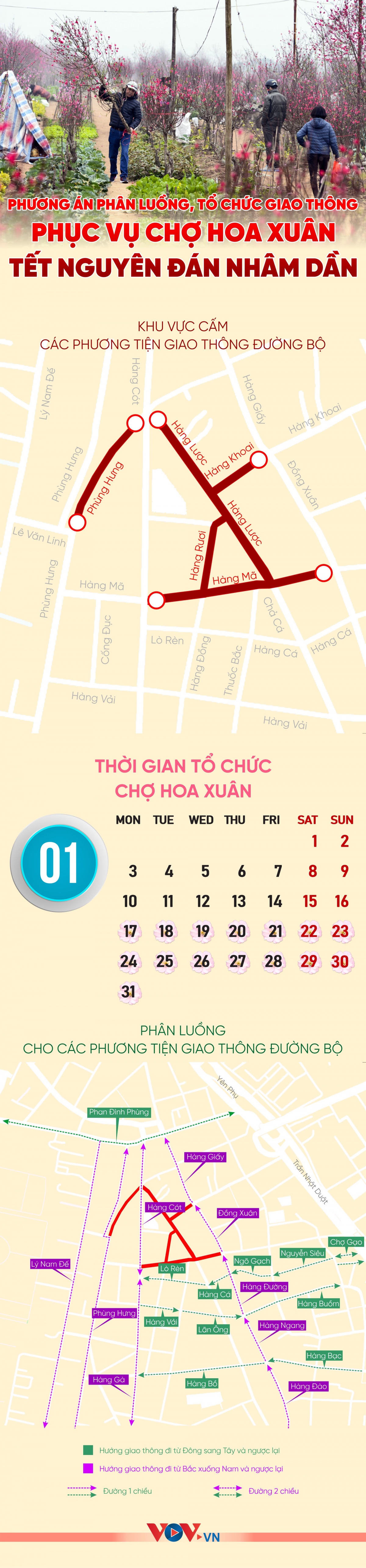 phuong an phan luong giao thong phuc vu cho hoa xuan tet nguyen Dan tai ha noi hinh anh 1