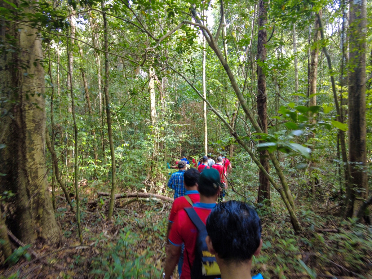 Trekking xuyên rừng là sản phẩm du lịch mới tại Phú Quốc. Nguồn: Trương Công Tâm
