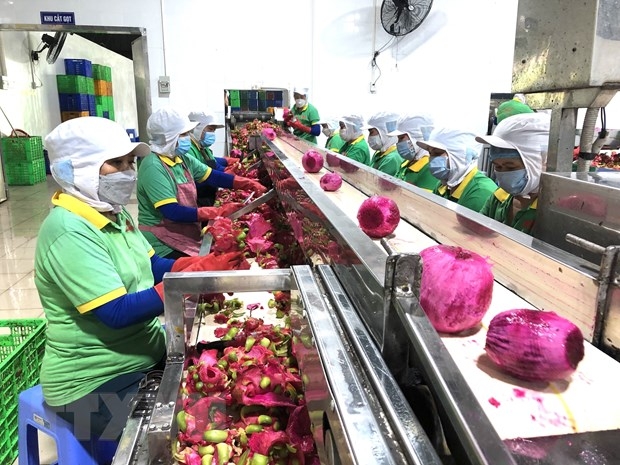 Dong Nai ships first batch of processed fruits overseas in 2022