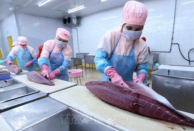 catalyst for growth of vietnam s tuna exports picture 1