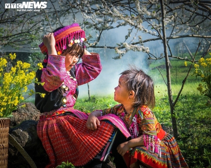 highland children have fun in forest of white plum blossoms picture 6