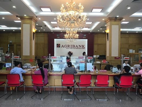 agribank ranks highest among vietnamese banks in brand finance banking 500 picture 1