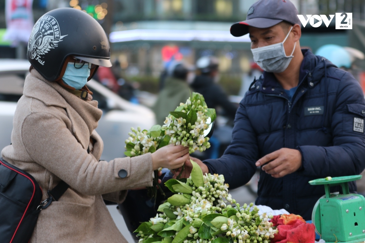 ha noi lai vao mua hoa buoi ngat huong hinh anh 16