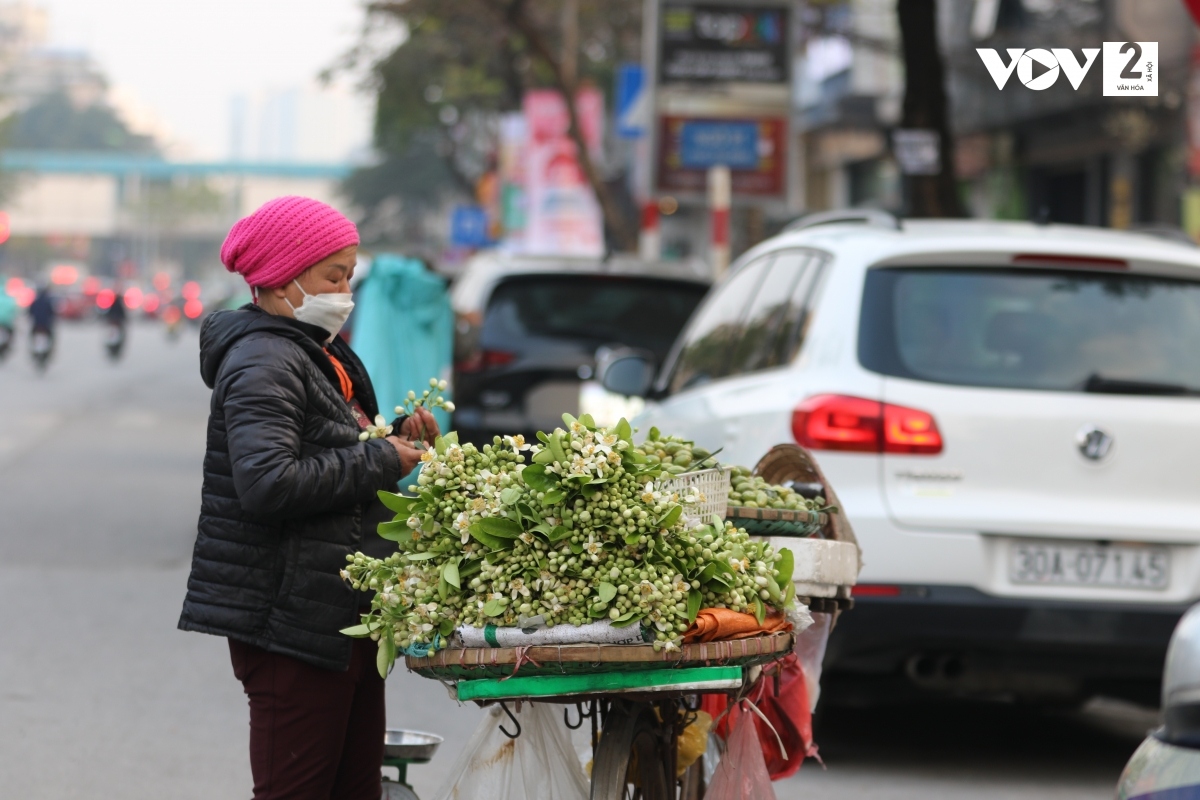 ha noi lai vao mua hoa buoi ngat huong hinh anh 2