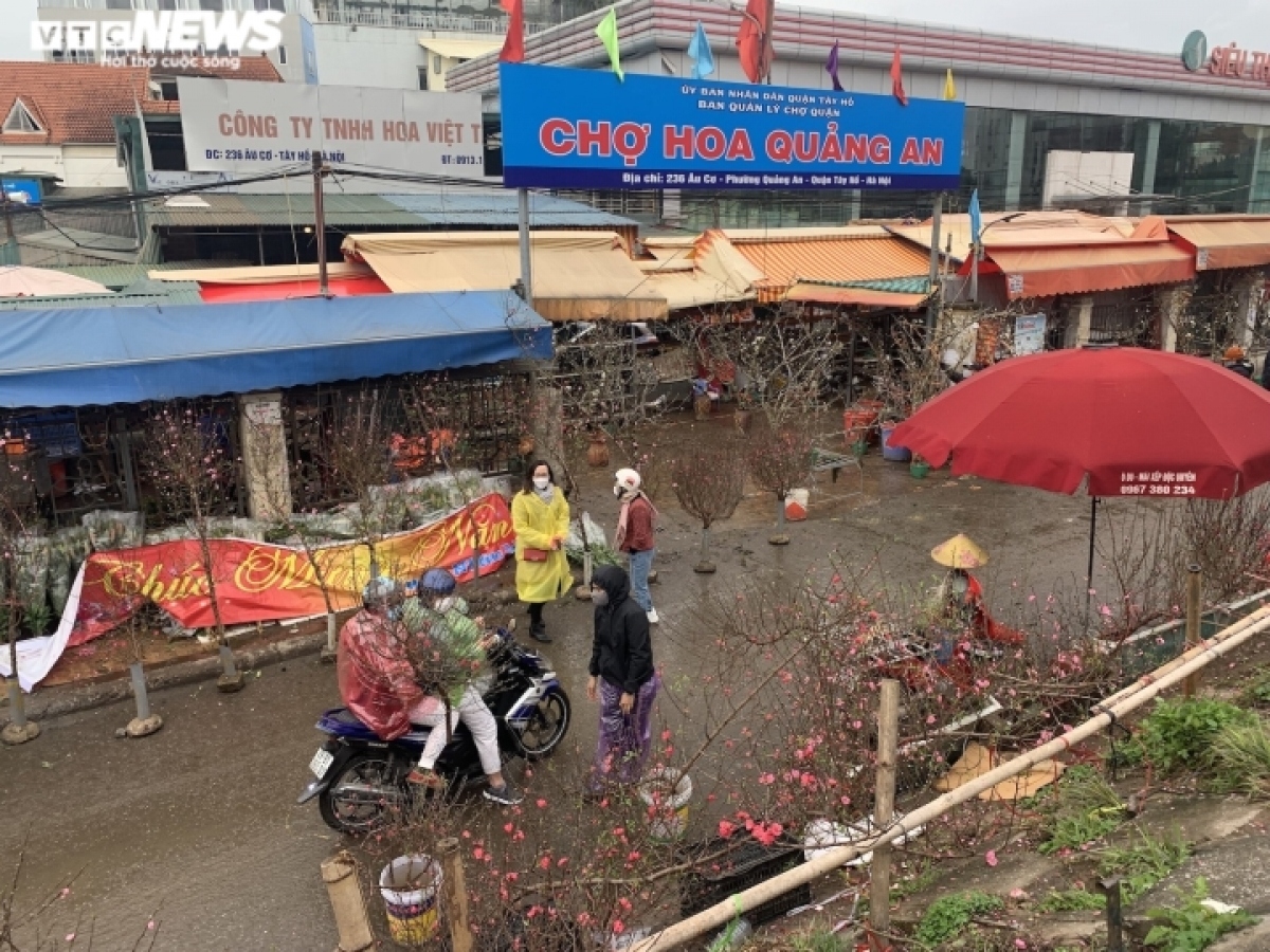 nhat tan peach blossom sales drop on first full moon festival picture 1