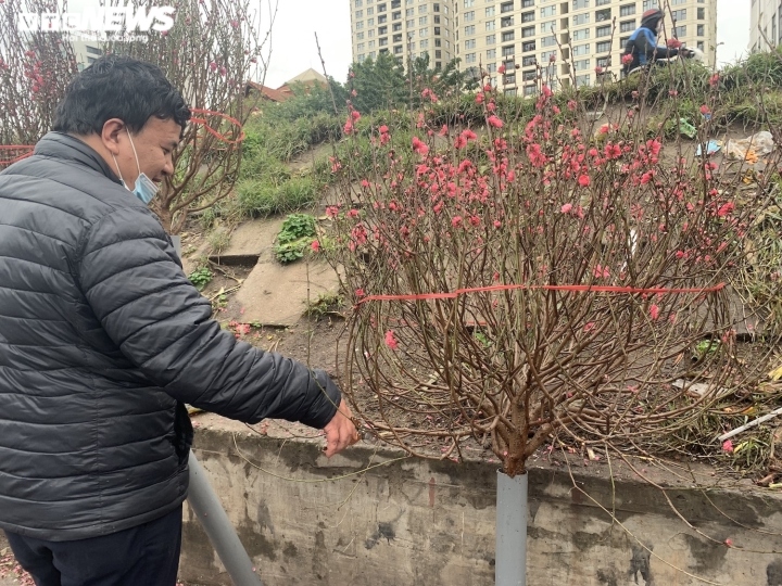 “Số lượng đào bán ra năm nay kém hẳn, chưa bằng một nửa so với những năm trước”, ông Thành, một người bán hoa đào tại khu vực chợ hoa Quảng Bá cho biết.