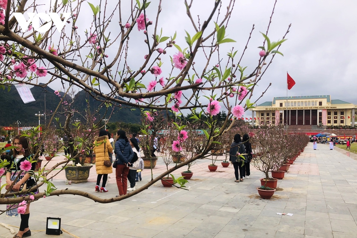 ethnic minority people in lai chau celebrate tet picture 6