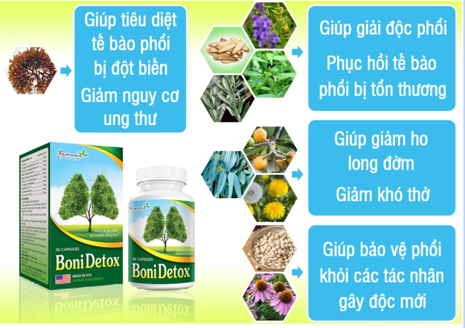 Thành phần toàn diện của sản phẩm TPBVSK BoniDetox