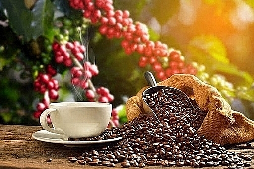 bright prospects ahead for coffee exports due to high export prices picture 1