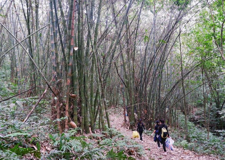 du lich ben vung dang nhan rong trong nganh khach san hinh anh 4