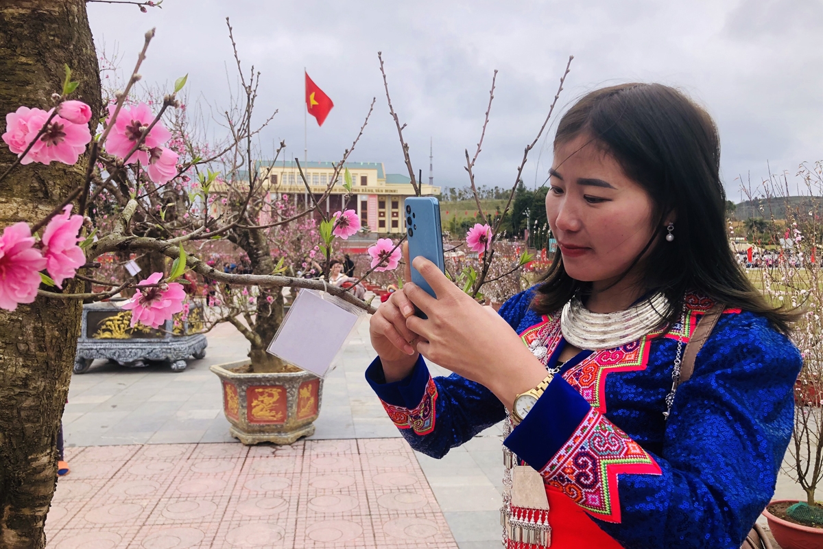 Lung linh đào xuân trong sắc thổ cẩm