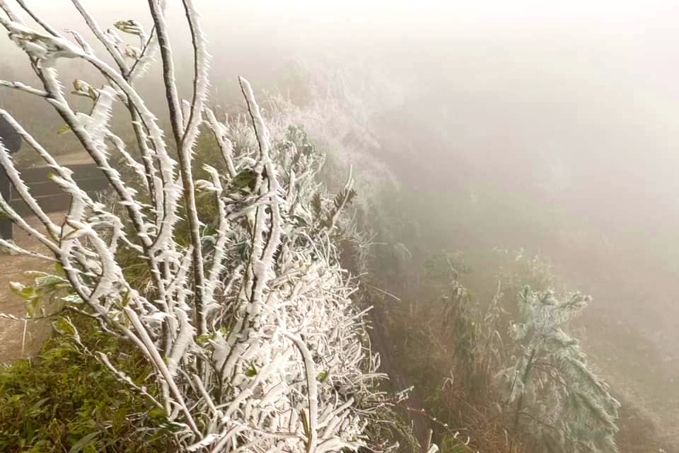 northern mountainous areas hit by frost amid strong cold spell picture 12 northern mountainous areas hit by frost amid strong cold spell picture 12