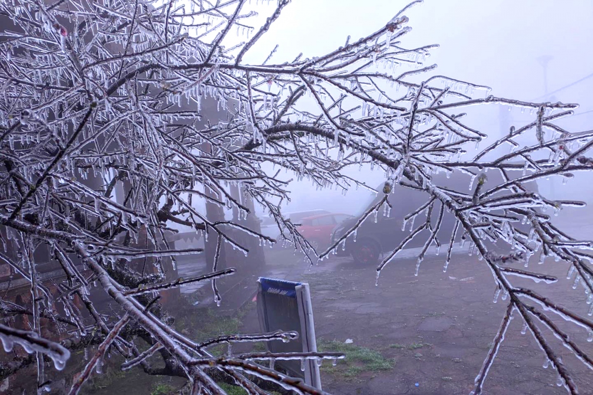 northern mountainous areas hit by frost amid strong cold spell picture 6 northern mountainous areas hit by frost amid strong cold spell picture 6
