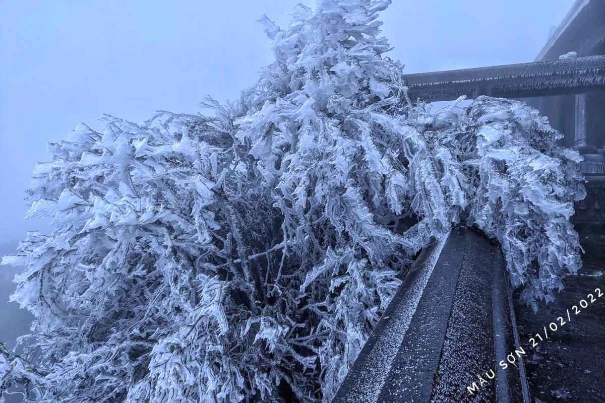 northern mountainous areas hit by frost amid strong cold spell picture 7 northern mountainous areas hit by frost amid strong cold spell picture 7
