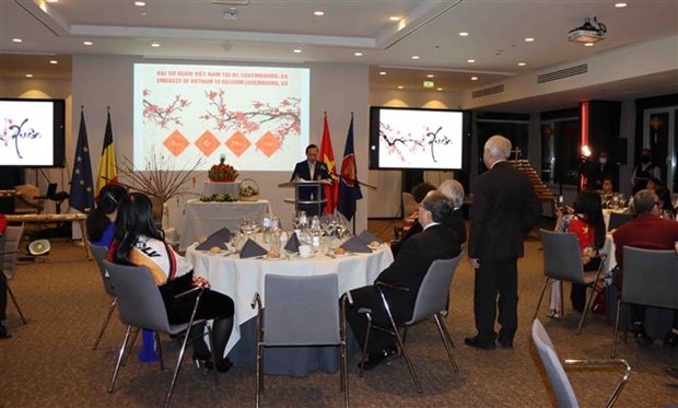 ovs in belgium, luxembourg look toward stronger eu-vietnam ties picture 1