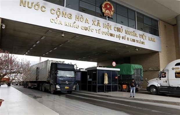 vietnam exports 287 tonnes of farm produce to china through lao cai from feb.1-3 picture 1