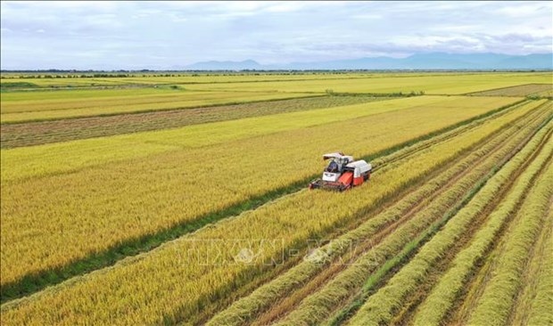 rice produced by multi-stakeholder partnership shipped abroad picture 1