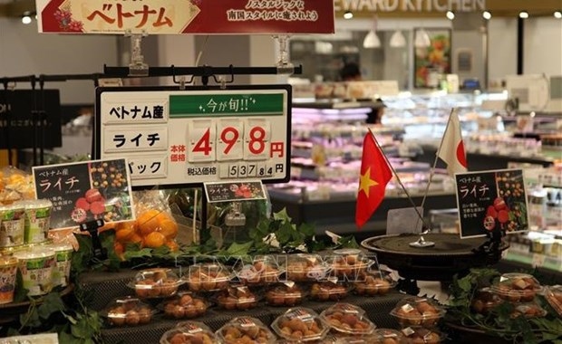 plenty of room for vietnam s agricultural, aquatic, foodstuff products in japanese market picture 2